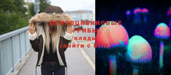 ECSTASY Армянск