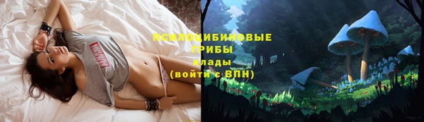 ECSTASY Армянск