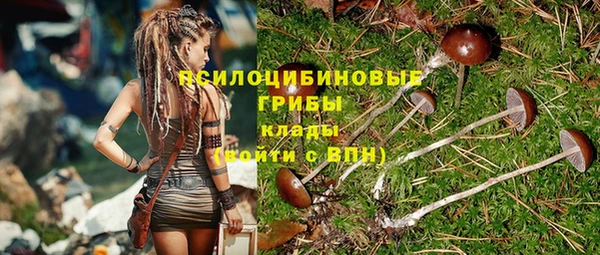 ECSTASY Армянск